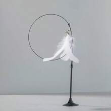 猫咪逗猫棒，带吸盘，长柄，宠物幼猫自娱自乐玩具，宠物用品 - 彩色 - 查看 7