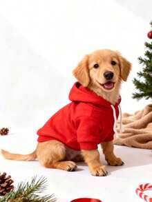 1 pieza Sudadera con capucha para mascotas de estilo coreano de manga raglán rojo sólido, diseño versátil y sencillo, cálida y cómoda para todo uso, adecuada para uso en interiores y exteriores para gatos y perros - Rojo - Ver 3