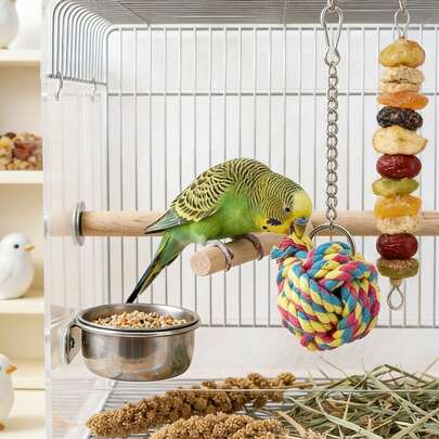 1个彩色编织绳球宠物玩具（颜色随机），耐啃咬解闷玩具球，鹦鹉和小型犬互动缠绕玩具，鸟笼配件
