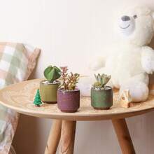 Macetas de cerámica de 6,3 cm para suculentas, cactus y miniplantas – juego de 6 (platillos incluidos) - 6 piezas - Ver 8