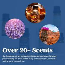 CANDECraftCo Premium Fragrance Oil U2013 Diffuser Oils Fragrances Scented For Home, Candle Soap Making Supplies, Aromatherapy Blends For House (0.34 Fl Oz) (2-Pack, Apple + Mahogany) - ColorA - View 2