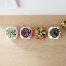 Geometric Heart-Shaped Plastic Small Succulent Planter, Cute Flower Pot Suitable For Desk, Shelf And Home Decor, Colors: Red, Pink, White - Multicolor - View 10