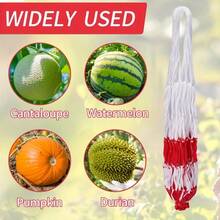 10/30pcs Heavy Duty Watermelon Hanging Net Bags - Large Capacity Net Bags For Supporting Watermelon, Pumpkin And Pineapple Growth - Durable White Material And Easy To Use - 10 - View 8