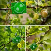 60pcs Reusable Plant Propagation And Grafting Balls, Plant Propagation Kit, Air Layering Propagation Tool Set, Plant Rooting Box, Grafting Balls, Air Layering Pots, Suitable For Roses, Hydrangeas And Other Plants, Durable, Reusable, Easy To Operate, High Propagation Success Rate - A - View 9