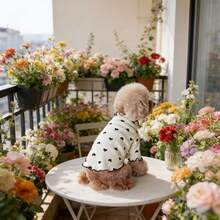 黑色爱心图案时尚宠物上衣，保暖内衬，双面绒面，可爱宠物狗猫衣服，适合贵宾犬、泰迪熊、比熊犬和其他小型犬猫 - 彩色 - 查看 2