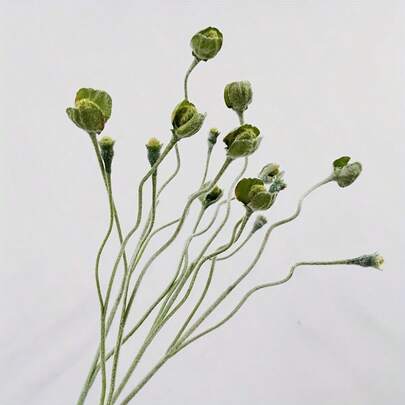 3pcs Artificial Felt Green Poppy Flower Buds, Suitable For Bouquet Decor, Romantic Bouquet, Props, Desktop Garden, Kitchen Decor, Indoor & Outdoor Decoration