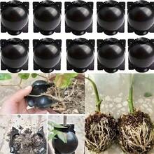 60pcs Reusable Plant Propagation And Grafting Balls, Plant Propagation Kit, Air Layering Propagation Tool Set, Plant Rooting Box, Grafting Balls, Air Layering Pots, Suitable For Roses, Hydrangeas And Other Plants, Durable, Reusable, Easy To Operate, High Propagation Success Rate - A - View 12