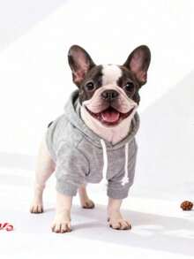 1pc Gray Solid Color Korean Style Raglan Sleeve Simple Versatile Pet Hoodie, Warm And Comfortable Basic Cat/Dog Indoor/Outdoor Sweatshirt - Grey - View 5