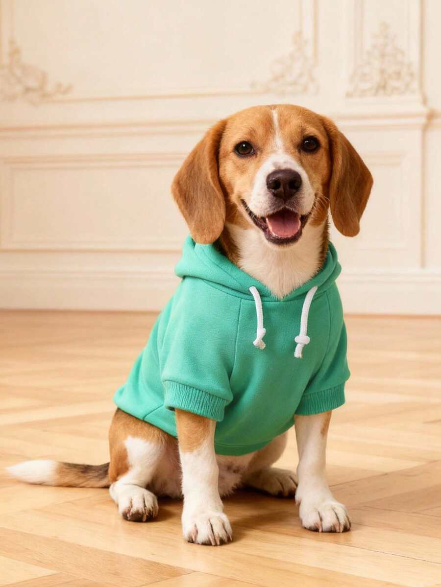 1pc Dopamine Color Series Solid Basic Warm Comfortable Hoodie Suitable For Cats And Dogs, Indoor And Outdoor - Mint Green - View 1