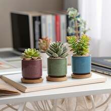 Macetas de cerámica de 6,3 cm para suculentas, cactus y miniplantas – juego de 6 (platillos incluidos) - 6 piezas - Ver 4