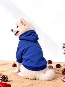 1pc Klein Blue Solid Color Korean Style Raglan Sleeve Minimalist Versatile Pet Hoodie, Warm And Comfortable All-Match Design For Cats And Dogs, Suitable For Indoor And Outdoor Use - Royal Blue - View 9