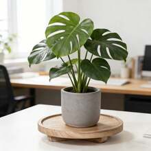 1pc 24.99cm Extendable Foldable Wooden Sofa Armrest Tray, Natural Wood Design Suitable For Living Room, Coffee Table, Perfect Gift For Family And Friends, Sofa Snack Tray, Coffee Table Accessory, Elegant Desktop Decor, Durable Tabletop Accessory, Food Service Tray, Cutlery Tray, Guest Serving Tray, Home Decor Tray - Multicolor - View 7