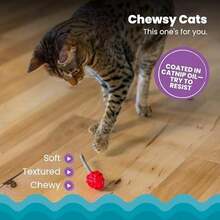 Catstages Dental Raspberry Teether With 4 Silvervine Sticks Included, Cat And Kitten Teething Toy, Red - / - Xem 3