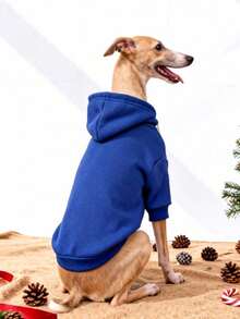 1pc Klein Blue Solid Color Korean Style Raglan Sleeve Minimalist Versatile Pet Hoodie, Warm And Comfortable All-Match Design For Cats And Dogs, Suitable For Indoor And Outdoor Use - Royal Blue - View 7