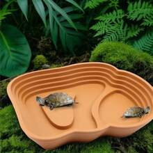 Paquete de 1 tazón de comida y agua para tortugas hábitat de tortuga para tortugas gecko serpiente lagarto pequeño café - como en la imagen - Ver 6