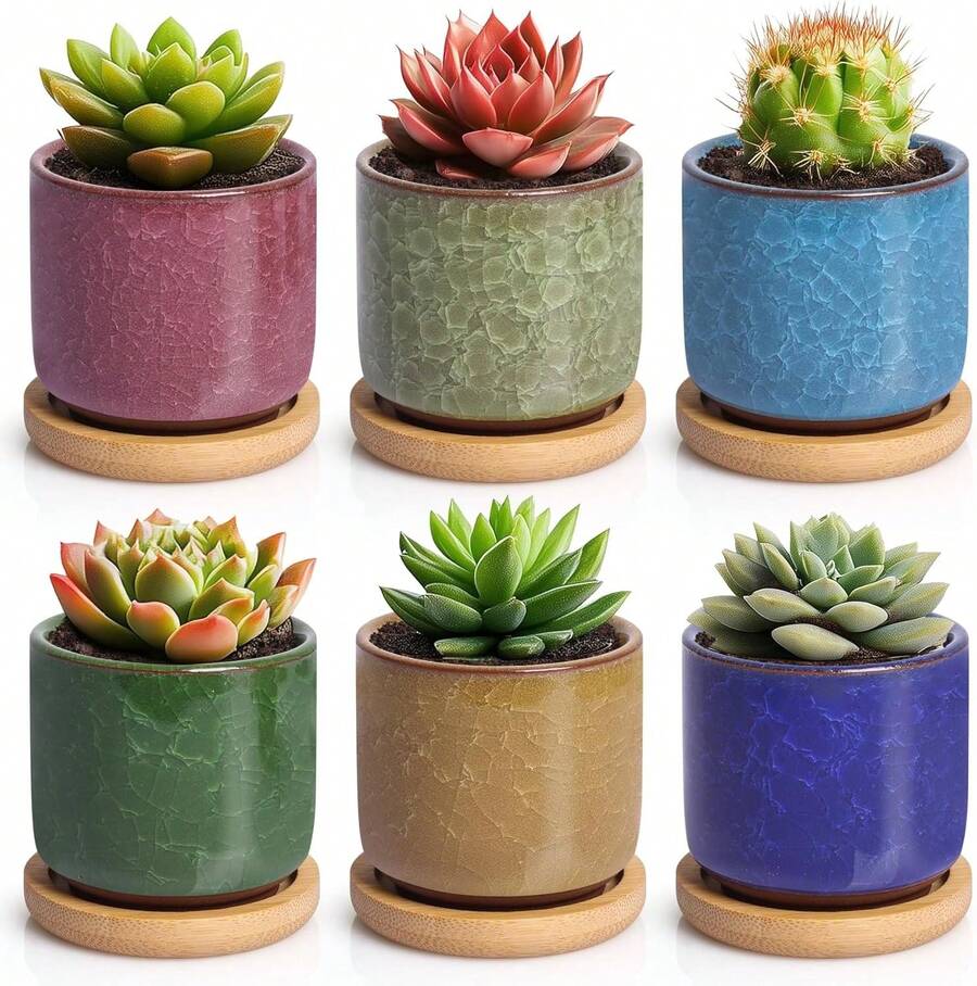 Macetas de cerámica de 6,3 cm para suculentas, cactus y miniplantas – juego de 6 (platillos incluidos) - 6 piezas - Ver 1