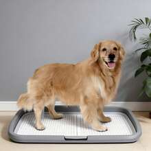 1 cái dụng cụ huấn luyện đi vệ sinh cho chó với thiết kế lưới chống bắn nước, được thiết kế đặc biệt để sử dụng trong nhà, phù hợp với chó nhỏ và vừa cũng như chó con. Dễ dàng vệ sinh và lắp ráp, và dụng cụ vệ sinh cho thú cưng được trang bị cột dẫn hướng có thể hỗ trợ hiệu quả việc huấn luyện chó đi vệ sinh đúng chỗ. - Xanh đậm - Xem 1