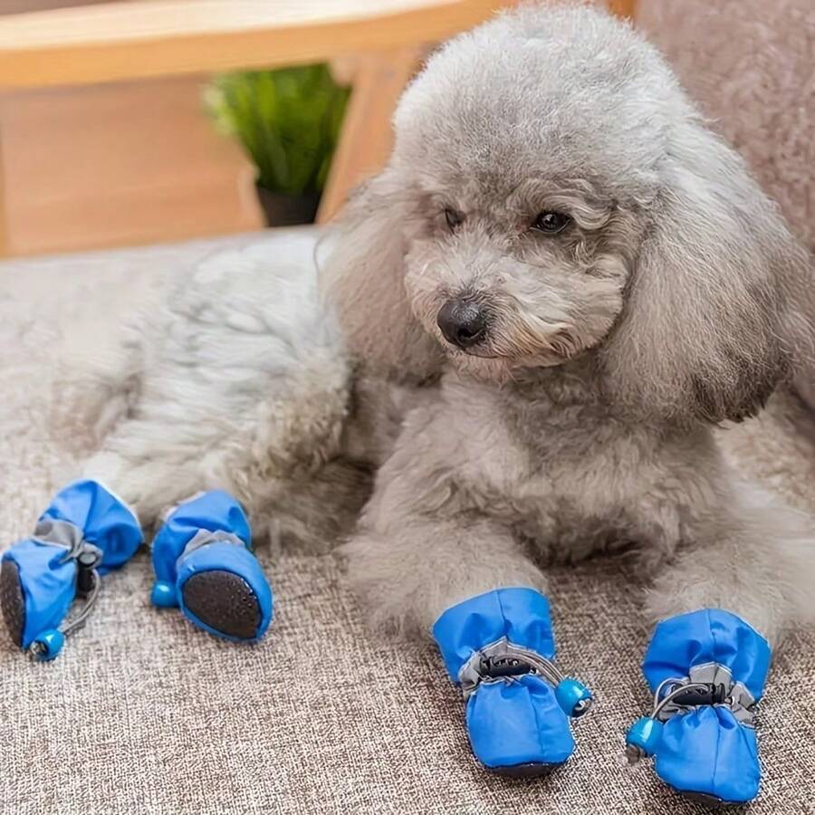 4/8只装小型犬防水鞋 - 速干防滑，带搭扣和缓冲鞋垫，为小型犬提供全天候爪子保护，是雨天散步的理想之选，低吸水性避免爪子潮湿，采用升级防水材料