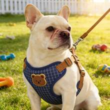 1 Set Dog Harness & Leash, Adjustable Chest Strap + Leash Set, Anti-Pulling Pet Harness, Fashionable Plaid Dog Chest Strap, Pet Leash For Walking Small/Medium Dogs & Cats - Multicolor - View 10