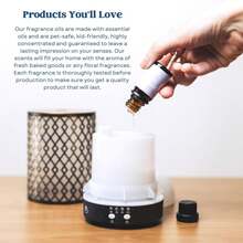CANDECraftCo Premium Fragrance Oil U2013 Diffuser Oils Fragrances Scented For Home, Candle Soap Making Supplies, Aromatherapy Blends For House (0.34 Fl Oz) (2-Pack, Apple + Mahogany) - ColorA - View 5