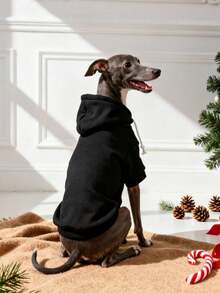 1pc Black Solid Color Korean Style Raglan Sleeve Simple Versatile Pet Hoodie, Warm And Comfortable Basic Cat/Dog Indoor/Outdoor Sweatshirt - Black - View 4