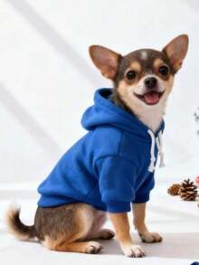 1pc Klein Blue Solid Color Korean Style Raglan Sleeve Minimalist Versatile Pet Hoodie, Warm And Comfortable All-Match Design For Cats And Dogs, Suitable For Indoor And Outdoor Use - Royal Blue - View 18