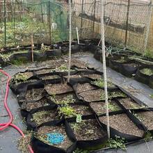 8层大型高架花园床套装，现代风格，耐候矩形种植箱，落地式，包含室内/室外配件，非常适合种植蔬菜和花卉，是新年、情人节、复活节的绝佳礼物 - 彩色 - 查看 12