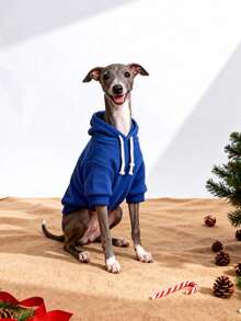 1pc Klein Blue Solid Color Korean Style Raglan Sleeve Minimalist Versatile Pet Hoodie, Warm And Comfortable All-Match Design For Cats And Dogs, Suitable For Indoor And Outdoor Use - Royal Blue - View 2