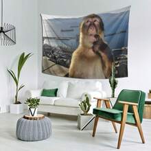 Tapestry Featuring A Thinking Monkey, Made Of Modern Polyester For Wall Decoration 2D Flat Tapestry, Local Printed Textile Wall Decor Garden Flag, Polyester Decorative Wall Hanging, Room Banner, Wall Banner, For College Dorm Decor, Outdoors, Parties, Festival Gifts Birthday Graduation Room Decor Home Decor Wall Decor Bedroom Decor Wall Art Poster Home Decor Living Room Tapestry For Room Wall Tapestry Room Decoration Stuff Gifts Suitable For Party Daily Anniversary Party Valentine's Day Wedding Anniversary Easter Mother's Day Graduation Father's Day Birthdays Anniversaries Thanksgiving, Christmas, Halloween, New Year's, Tea Room, Bedroom, Living Room, Indoor Home, Outdoor Flag Wall Tapestry - 彩色 - 查看 2