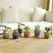 Macetas de cerámica de 6,3 cm para suculentas, cactus y miniplantas – juego de 6 (platillos incluidos) - 6 piezas - Ver 6