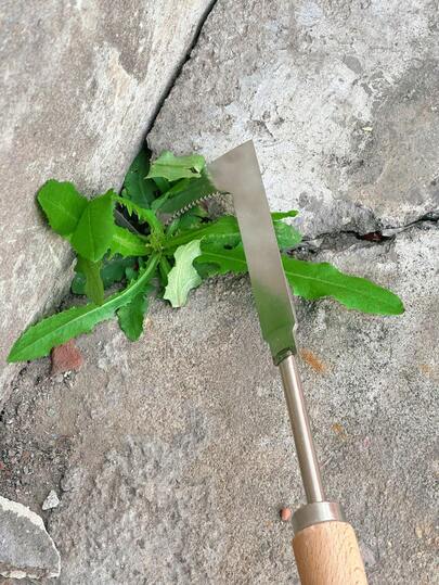 1pc Crack Weeder, Provides Multiple Styles, Stainless Steel Crack Weeding Tool With Wooden Handle, L-Shaped Path Scraper, Suitable For Garden, Lawn, Yard, Patio, Sidewalk, Moss, Small Gardening Tool