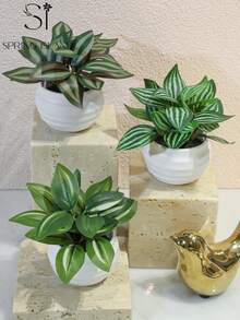 Bộ 3 cây bạc hà mini nhân tạo, lá nhiệt đới, chậu màu trắng làm bằng chất liệu PE. Thích hợp để trang trí bàn làm việc, ký túc xá sinh viên và văn phòng. Cây nhân tạo cũng phù hợp để trang trí nhà cửa, trang trí cảnh quan, trang trí tiệc/ngày lễ và tiệc sinh nhật, dùng được quanh năm, là món quà lý tưởng cho người yêu cây cảnh, quà lưu niệm. - Xanh-B - Xem 7