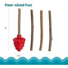 Catstages Dental Raspberry Teether With 4 Silvervine Sticks Included, Cat And Kitten Teething Toy, Red - / - Xem 5