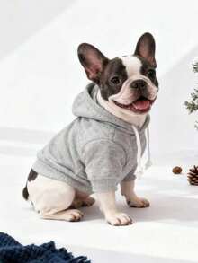 1pc Gray Solid Color Korean Style Raglan Sleeve Simple Versatile Pet Hoodie, Warm And Comfortable Basic Cat/Dog Indoor/Outdoor Sweatshirt - Grey - View 9