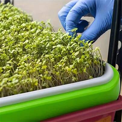 Khay ươm hạt, giỏ trồng cây thủy canh không cần đất, khay ươm hạt có nắp đậy, bộ khay ươm cây làm vườn