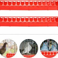 家禽喂食器、多孔鸡饲料盒、雏鸡育雏槽、长条多孔鸟类喂食器、防打结鸡饲料槽、家禽养殖用品、雏鸡喂食槽、鹌鹑喂食器、鲁廷鸡饲料槽 - 動物餵食盒 - 查看 6