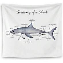 Shark Tapestry, Shark Wall Decoration, Educational Anatomy Tapestry For Classroom, Kids' Room, Bedroom, Playroom Decor, Marine Biology Decorations, Ocean Classroom Decoration - 彩色 - 查看 1