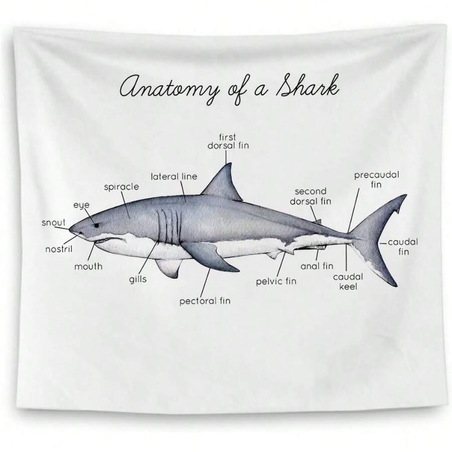 Shark Tapestry, Shark Wall Decoration, Educational Anatomy Tapestry For Classroom, Kids' Room, Bedroom, Playroom Decor, Marine Biology Decorations, Ocean Classroom Decoration - 彩色 - 查看 1