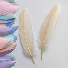 50 Mixed-Color Feathers - High-Quality, Colorful Feathers Suitable For Dreamcatchers, Clothing Accessories, Earring Making, Home Décor, DIY Crafts, Handmade Accessories, Art Decorations, Vibrant Feathers, Lightweight Feathers, Durable Material, Craft Materials, And Fashion Designers. - Nhiều màu - Xem 6