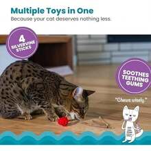 Catstages Dental Raspberry Teether With 4 Silvervine Sticks Included, Cat And Kitten Teething Toy, Red - / - Xem 2