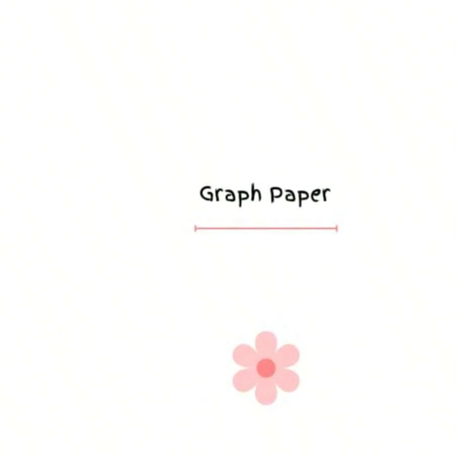 Graph Paper 8x5 100 pages - como en la foto - Ver 1
