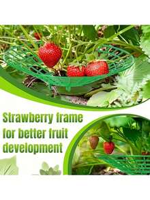 20pcs Strawberry Plant Support Racks, Adjustable Fruit Support Frames For Growing Strawberries, Reusable Plant Supports For Potted & Ground Plants, Anti-Rot Garden Trellis For Berries - 31*31CM - View 11
