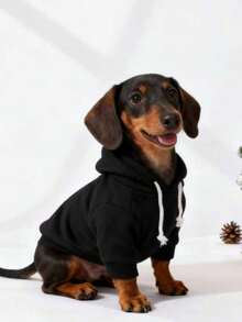 1pc Black Solid Color Korean Style Raglan Sleeve Simple Versatile Pet Hoodie, Warm And Comfortable Basic Cat/Dog Indoor/Outdoor Sweatshirt - Black - View 6
