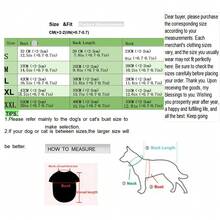 26条纹泰迪熊衬衫，宠物服装，狗/猫衬衫，春季新款，竖条纹欧式衬衫，宠物服 - 淺粉色 - 查看 3