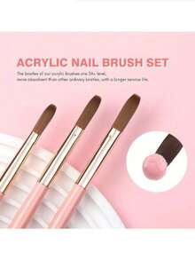 3支装亚克力美甲刷套装 - #8/10/14 貂毛亚克力美甲刷，粉色手柄，专业亚克力粉刷，适用于亚克力美甲延长和3D美甲雕刻 - 杏色 - 查看 2