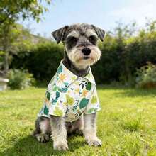 Áo cho thú cưng in hình lá nhiệt đới, nhẹ và thoáng khí, phong cách thường ngày khi đi nghỉ mát, phụ kiện thú cưng phổ biến ở châu Âu và Mỹ. - trắng - Xem 12