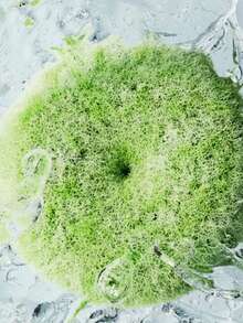 Cepillo de limpieza para cocina y baño, estropajo para fregadero, herramienta de limpieza para lavabo con gancho - Multicolor - Ver 6