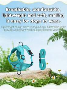 反光宠物胸背带和牵引绳套装，适用于犬猫，防逃脱可调节小型犬胸背带，带柔软网布（升级款将优先发货。） - 綠色 - 查看 6