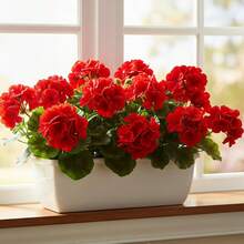 1/4 pieza Flor de geranio de seda artificial, planta de geranio falsa para decoración del hogar, jardín interior, balcón, tumba, jarrón, mesa - Rojo - Ver 3