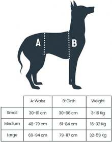 CareLift - Support Harness - Full-Body Lifting- Large - Full Support - View 6